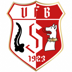 VfB 1923 e.V. Sennfeld
